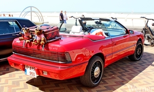 IMG_1882_vvk-Apen_tZeetje_2025-08-10-zo_Wenduine-opden-Dijk_Chrys