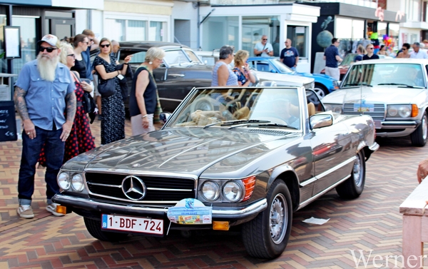 IMG_1899_vvk-Apen_tZeetje_2025-08-10-zo_Wenduine-opden-Dijk_Merce