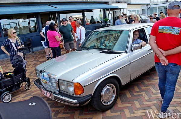 IMG_1900_vvk-Apen_tZeetje_2025-08-10-zo_Wenduine-opden-Dijk_Merce