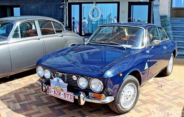 IMG_2032-12d_vvk-Apen_tZeetje_2025-08-10-zo_Wenduine-opden-Dijk_1