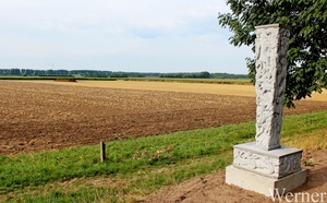 IMG_8210_vvk-Apen_tZeetje_proefrit-001_2025-07-19_Keltische-Kunst