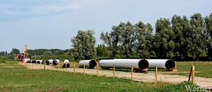 IMG_8223_vvk-Apen_tZeetje_proefrit-001_2025-07-19_ nog-meer-panie