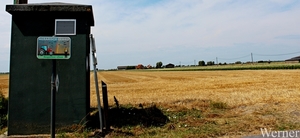 IMG_8237_vvk-Apen_tZeetje_proefrit-001_2025-07-19_ Agrarisch-gebi