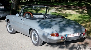 IMG_8246_vvk-Apen_tZeetje_2025-08-10-zo_Alfa-Romeo-1750-cabrio_zi