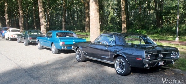 IMG_8251_vvk-Apen_tZeetje_2025-08-10-zo_Mustang-club_O-AZV-894=Th