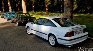 IMG_8253_vvk-Apen_tZeetje_2025-08-10-zo_Opel-Calibra_wit_O-AHJ-32