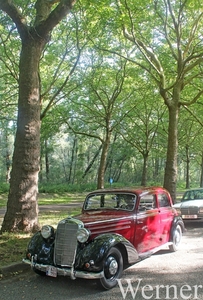 IMG_8263_vvk-Apen_tZeetje_2025-08-10-zo_Mercedes-QQQ_rood&zwart_O