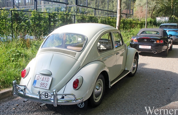 IMG_8269_vvk-Apen_tZeetje_2025-08-10-zo_1964-VW-kever_wit_O-AYD-9