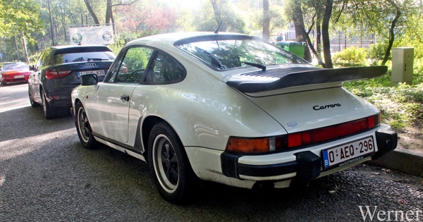 IMG_8273_vvk-Apen_tZeetje_2025-08-10-zo_Porsche-911-carrera_wit_O