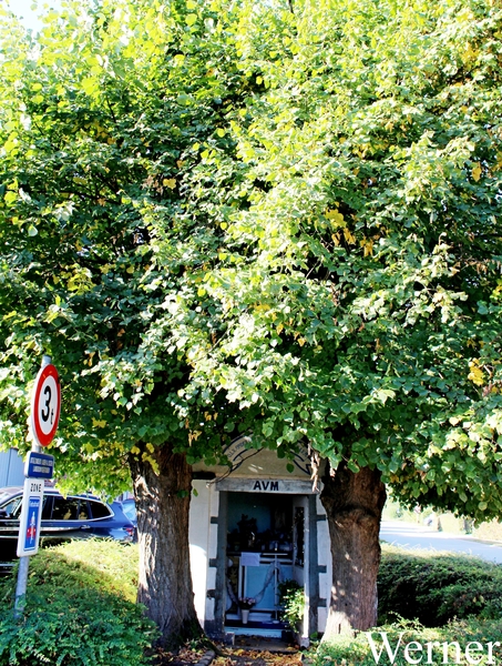 IMG_2934-12d_vvk-Mech_Avondrit_2025-08-21_Ave-Maria-kapelletje_He