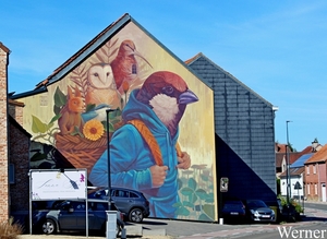 IMG_2971-12d_vvk-Mech_Avondrit_2025-08-21_Kortenberg_Vogel-kunst=