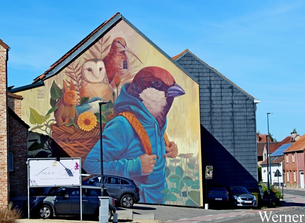 IMG_2971-12d_vvk-Mech_Avondrit_2025-08-21_Kortenberg_Vogel-kunst=