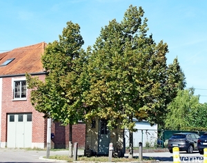 IMG_2979-12d_vvk-Mech_Avondrit_2025-08-21_kapelletje_Laarstraat-N