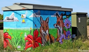 IMG_2980-12d_vvk-Mech_Avondrit_2025-08-21_Beestenboel_vosjes-stro