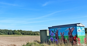 IMG_2981-12d_vvk-Mech_Avondrit_2025-08-21_Beestenboel_konijnen-st