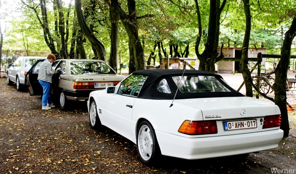 IMG_2831-12d_vvk-Lommel_Kempenrit_2025-08-31_Lommel_Groote-Hoef_M