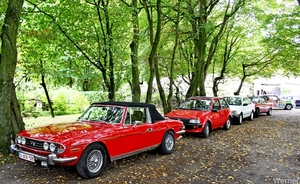 IMG_2833-12d_vvk-Lommel_Kempenrit_2025-08-31_Lommel_Groote-Hoef_T