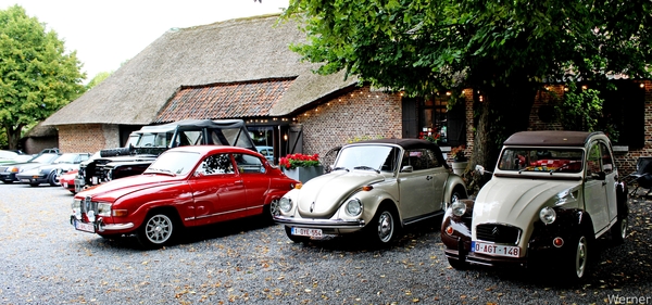 IMG_2834-12d_vvk-Lommel_Kempenrit_2025-08-31_Lommel_Groote-Hoef_S