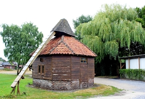 IMG_2836-12d_vvk-Lommel_Kempenrit_2025-08-31_Lommel_Groote-Hoef_o