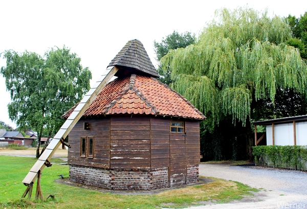 IMG_2836-12d_vvk-Lommel_Kempenrit_2025-08-31_Lommel_Groote-Hoef_o