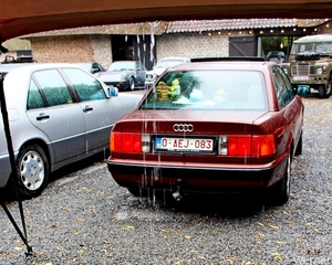 IMG_2855-12d_vvk-Lommel_Kempenrit_2025-08-31_Lommel_Groote-Hoef_r