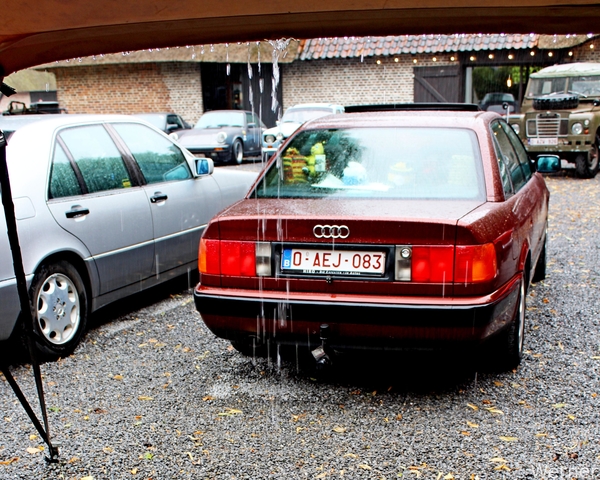 IMG_2855-12d_vvk-Lommel_Kempenrit_2025-08-31_Lommel_Groote-Hoef_r