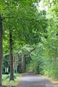 IMG_2868-12d_vvk-Lommel_Kempenrit_2025-08-31_onderweg_bosrijke-om