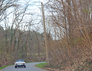 IMG_2848_2025-03-30_vvk-Aarschot_Hageland5_Triumpf-Spitfire_