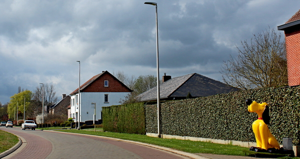 IMG_2852_2025-03-30_vvk-Aarschot_Hageland5_Pluto-op-wacht