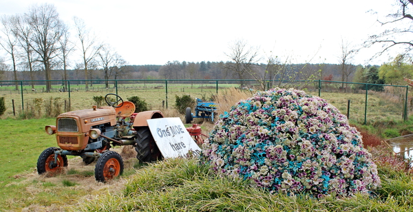 IMG_2886_vvk-Aarschot_Hageland5_Foets-collectie_Ons-moe-hare-Fiat