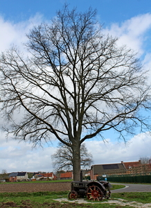 IMG_2906_2025-03-30_vvk-Aarschot_Hageland5_Foets-collectie_Tracto