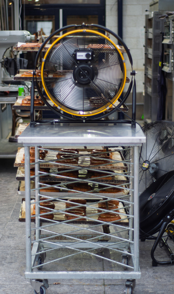 SVH-Boterletters-1457_small