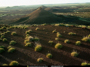 nat-geo-plaatsen-over-hele-wereld-national-geographic-schapen-ach