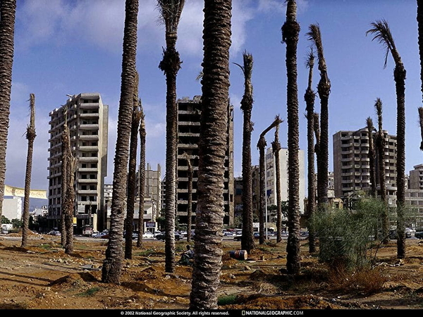 plaatsen-over-hele-wereld-national-geographic-nat-geo-palmboom-ac