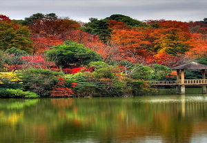 natuur-reflectie-voor-dubbele-monitoren-herfst-achtergrond