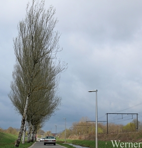 IMG_2843_2025-03-30_vvk-Aarschot_Hageland5_Mercedes___Q-AHQ-271