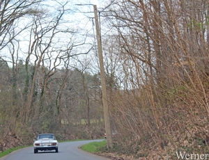 IMG_2848_2025-03-30_vvk-Aarschot_Hageland5_Triumpf-Spitfire_