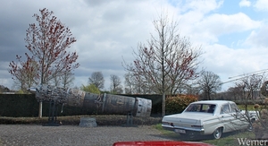 IMG_2859_2025-03-30_vvk-Aarschot_Hageland5_Foets-collection_Reser