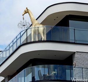 IMG_2995_2025-03-30_vvk-Aarschot_Hageland5_Gouden-Giraffe&Luster-
