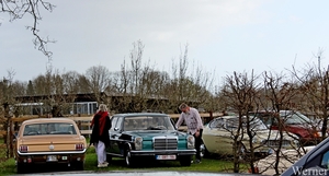 IMG_3029_2025-03-30_vvk-Aarschot_Hageland5_baard-Mercedes_groen_1