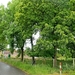 IMG_4050_2025-05-25_vvk-Beringen_Mei-rit_taal-grens