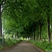 IMG_4087_2025-05-25_vvk-Beringen_Mei-rit_bosrijke-omgeving