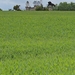 IMG_4098_2025-05-25_vvk-Beringen_Mei-rit_groen-veld@