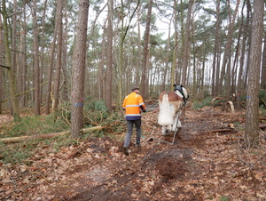 P1210564
