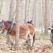 P1210567