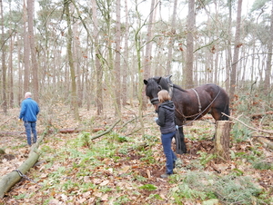 P1210596