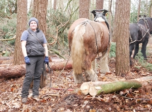 P1210606