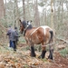 P1210620