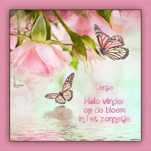CarteBlanc