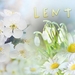 Gitta73-2